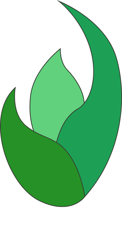 NaturaMedic
